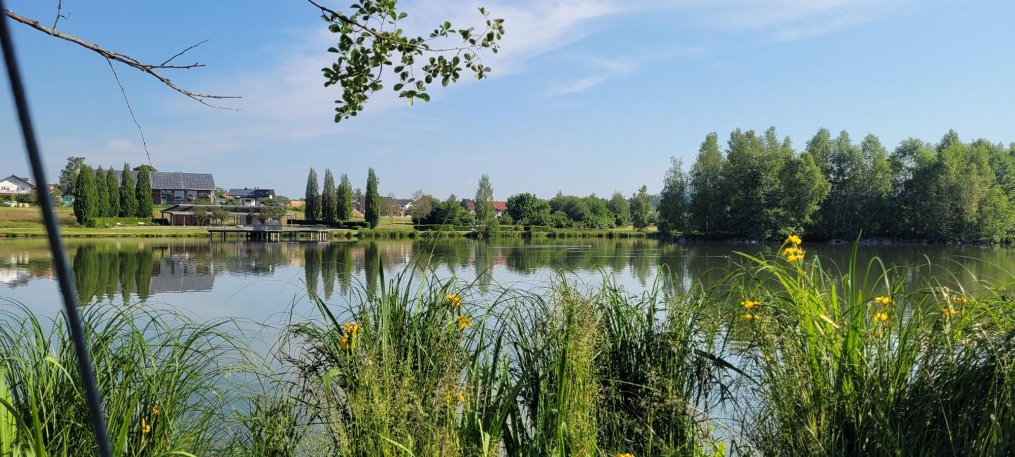 Ferienwohnung Bayerwaldblick Jandelsbrunn Dış mekan fotoğraf