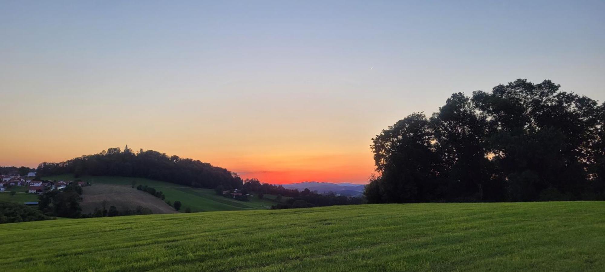 Ferienwohnung Bayerwaldblick Jandelsbrunn Dış mekan fotoğraf