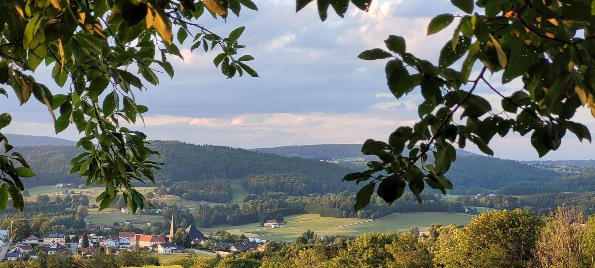 Ferienwohnung Bayerwaldblick Jandelsbrunn Dış mekan fotoğraf