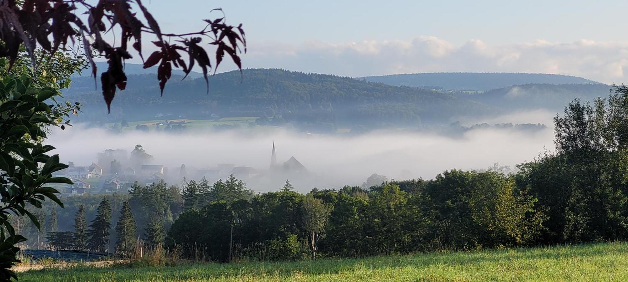 Ferienwohnung Bayerwaldblick Jandelsbrunn Dış mekan fotoğraf